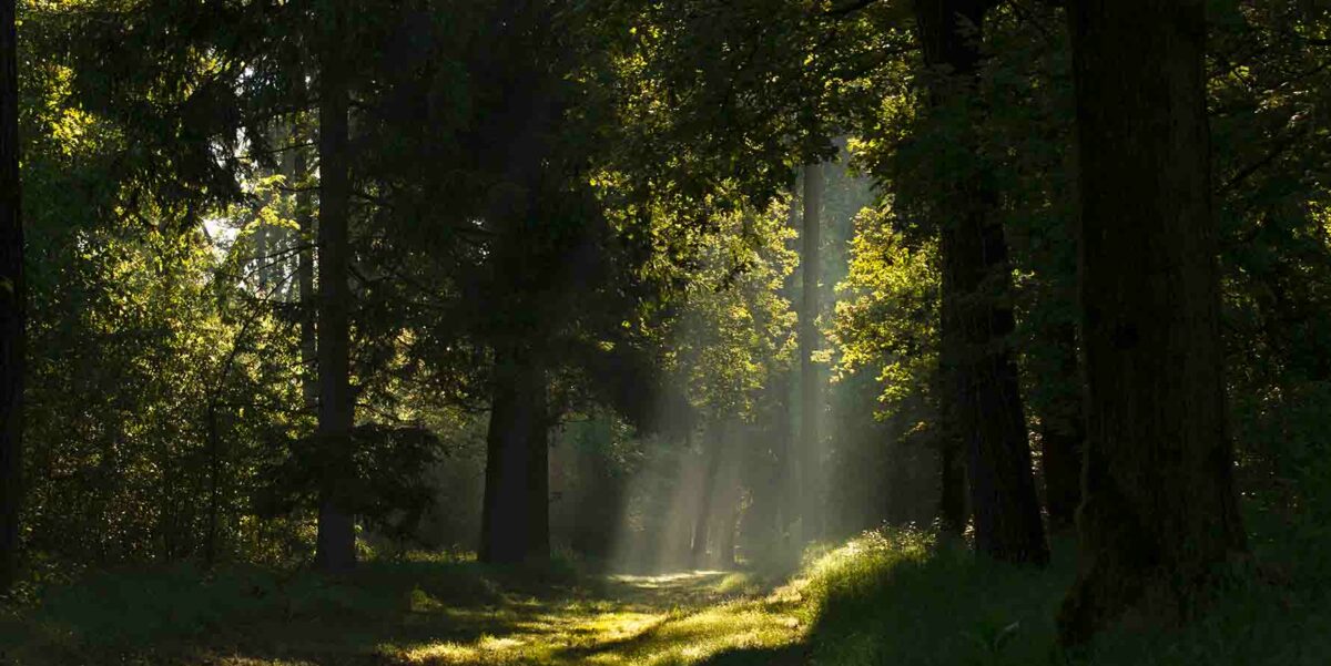 Featured Image