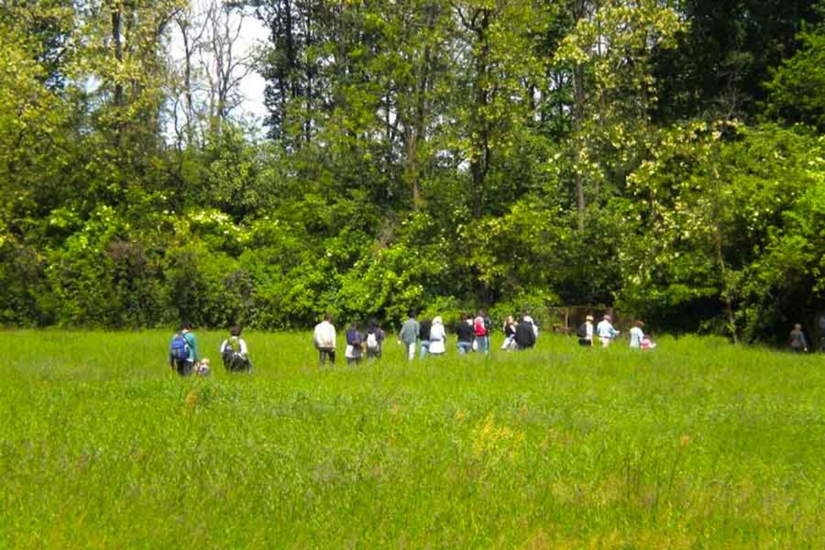bosco wwf vanzago educazione ambientale