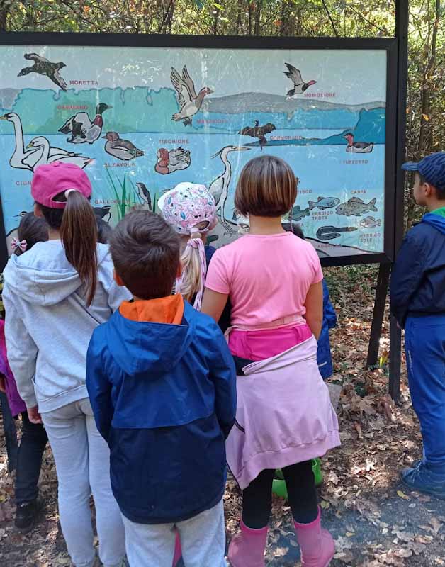 educazione ambientale bosco wwf di vanzago scuole e classi bambini