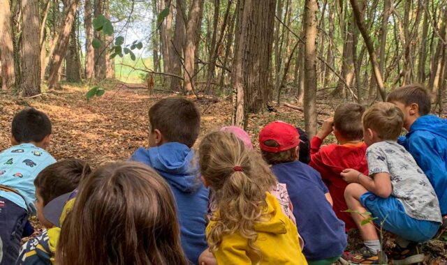 BOSCO WWF VANZAGO SCUOLE educazione ambientale bambini