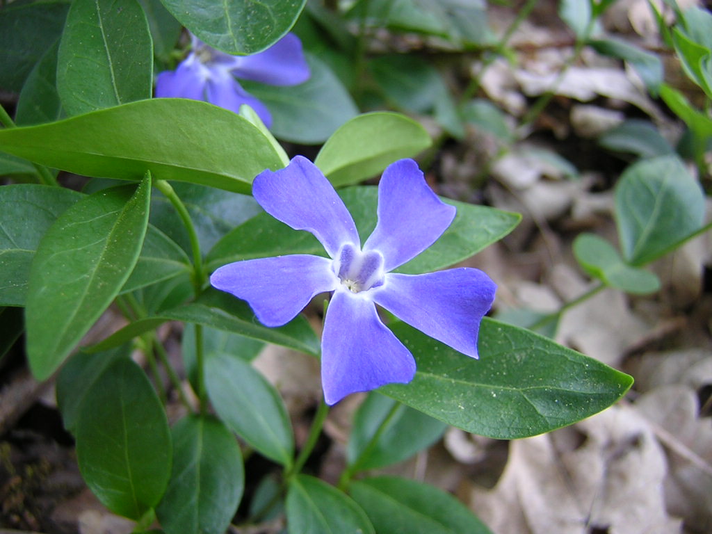 Featured Image